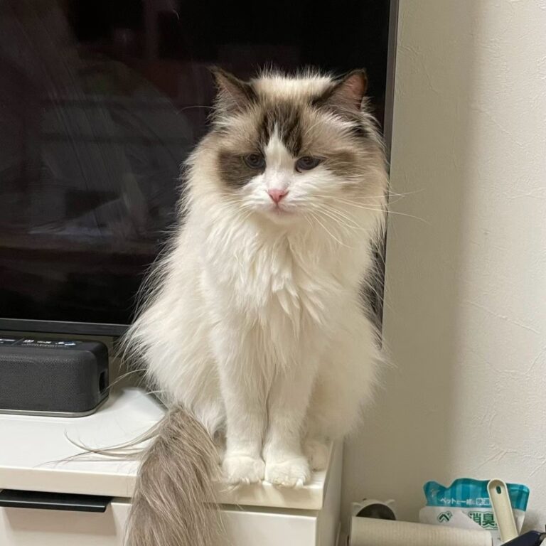 mama1